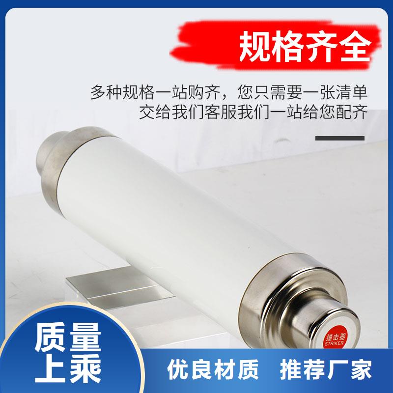 RN3-10/15熔斷器樊高