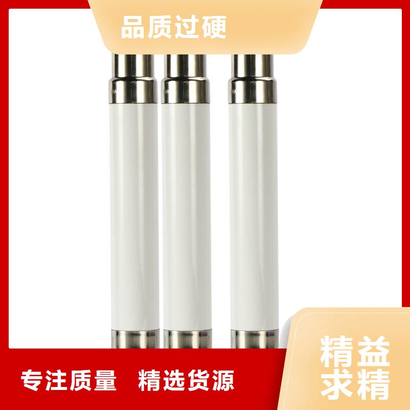 XRNP-12KV/0.5A熔斷器樊高