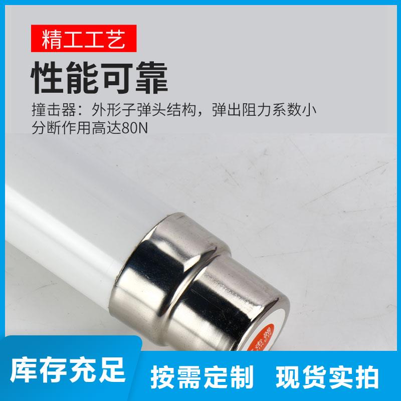 XRNP-12KV/0.5A熔斷器樊高