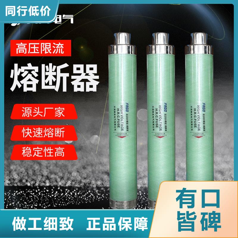 XRNT-35/10A高壓PT熔管