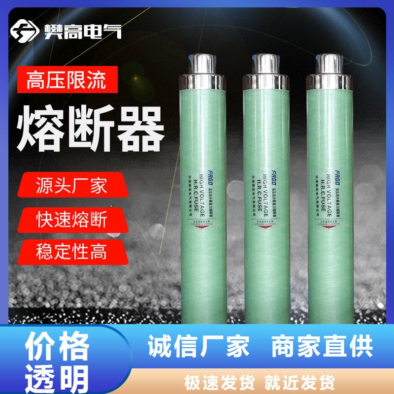 RW9-35/2A限流熔斷器