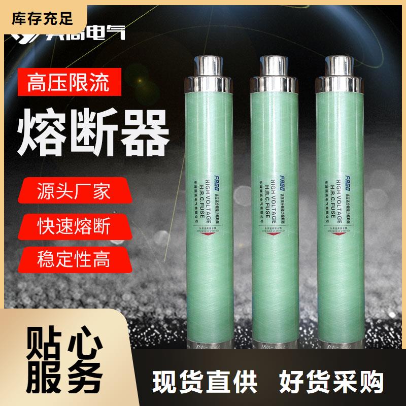 XRNT-40.5/6.3A限流熔斷管樊高