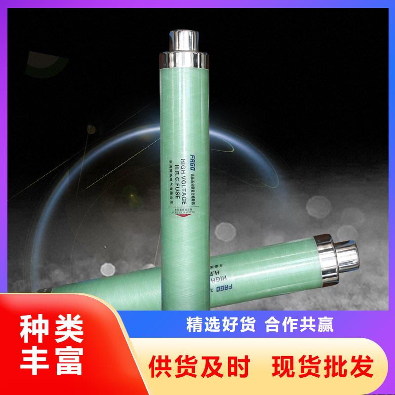 BR1-10/80A雙管限流熔斷器