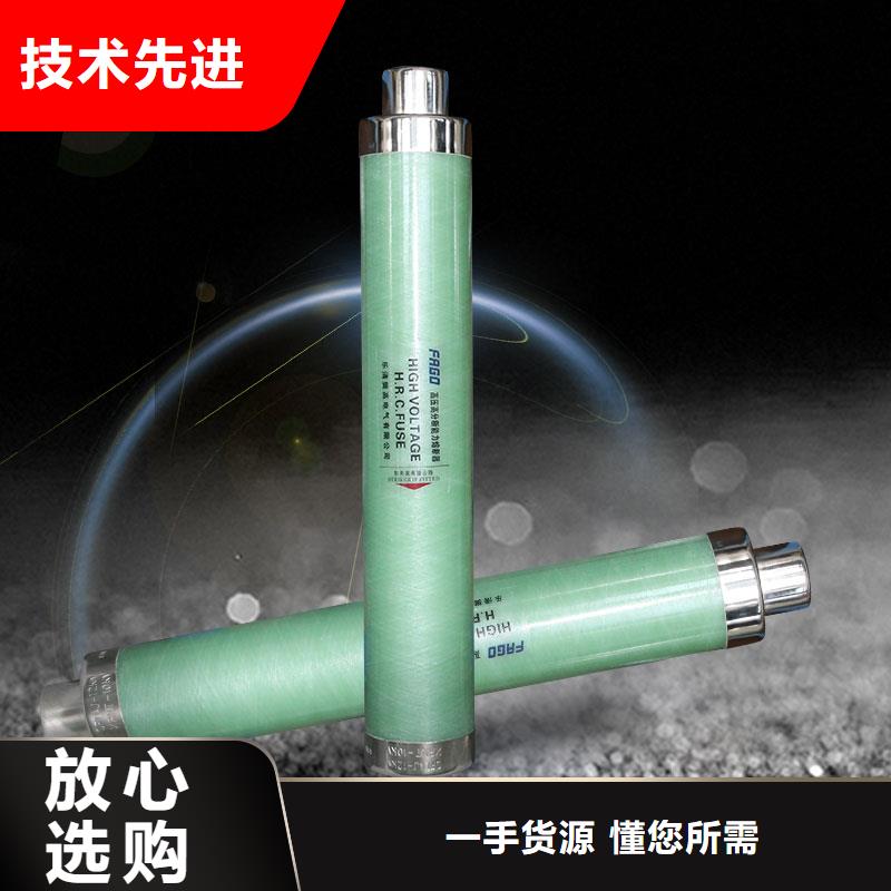 WFNHO-12/50A高壓熔斷器