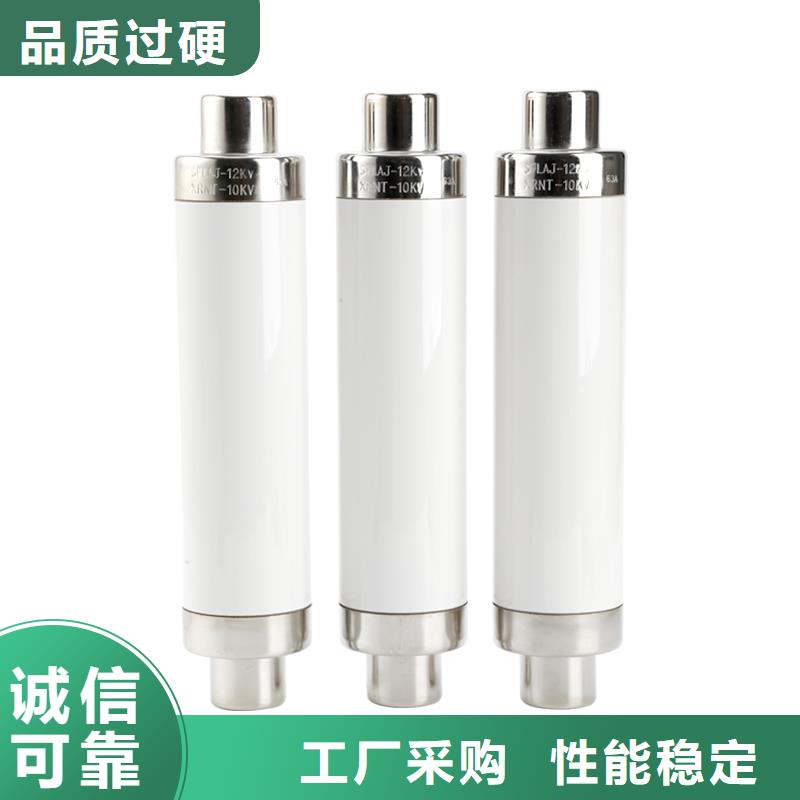 BR1-10/80A雙管限流熔斷器