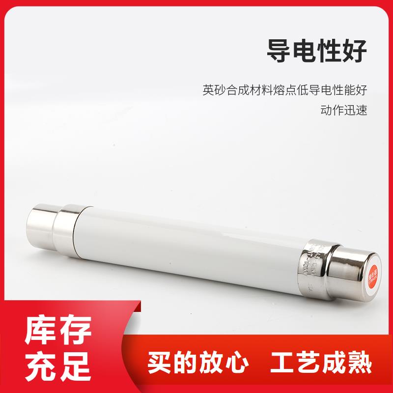 RN3-3/300雙管限流熔斷器
