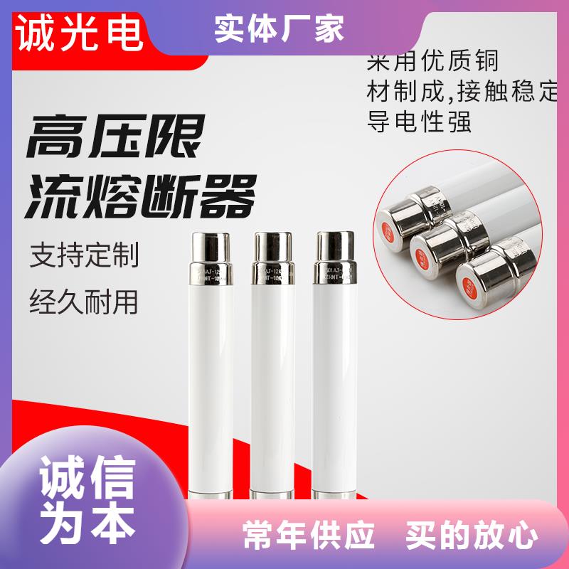 XRNP6-10/0.5A熔斷器樊高