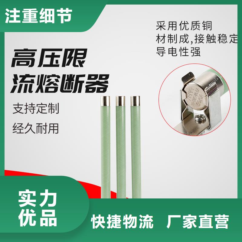 XRNP6-10/0.5A熔斷器樊高