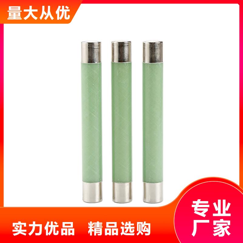 BRW2-10/100A雙管限流熔斷器