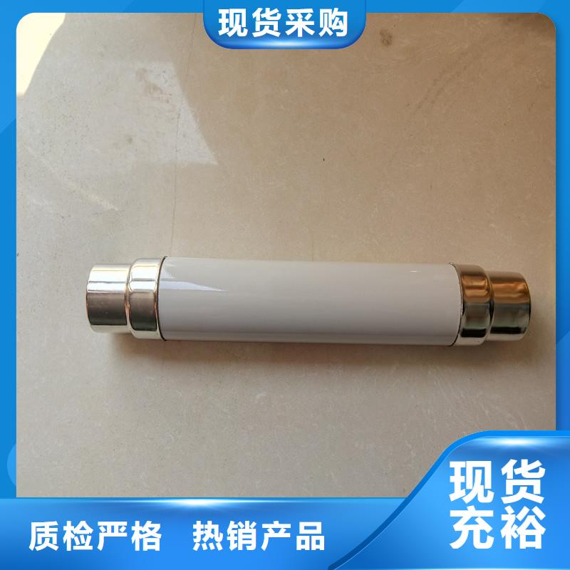 XRNT-40.5/6.3A限流熔斷管樊高