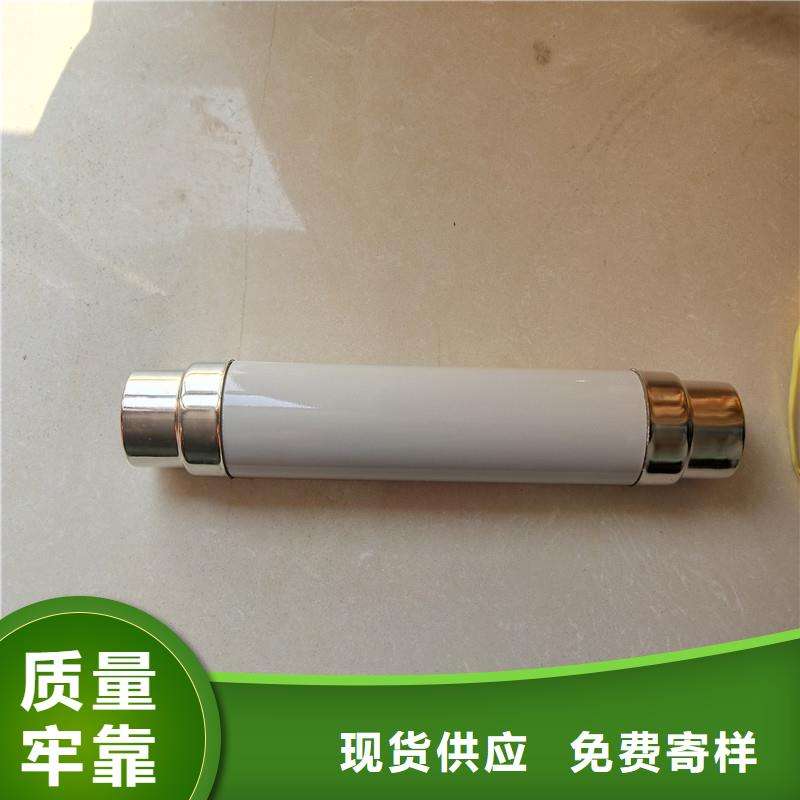 RN3-10/20限流熔斷器樊高