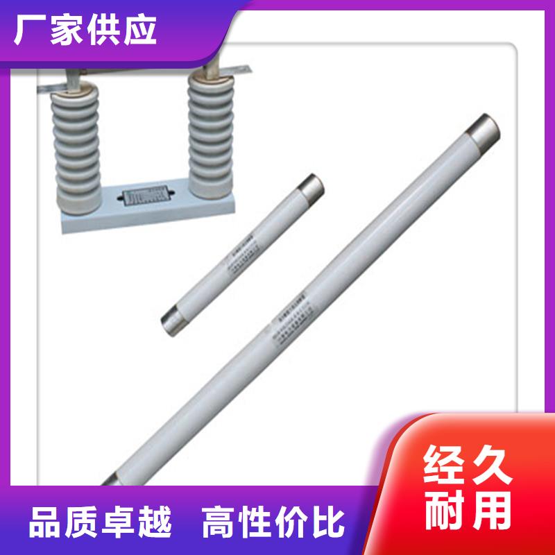XRNM-12/80A熔管