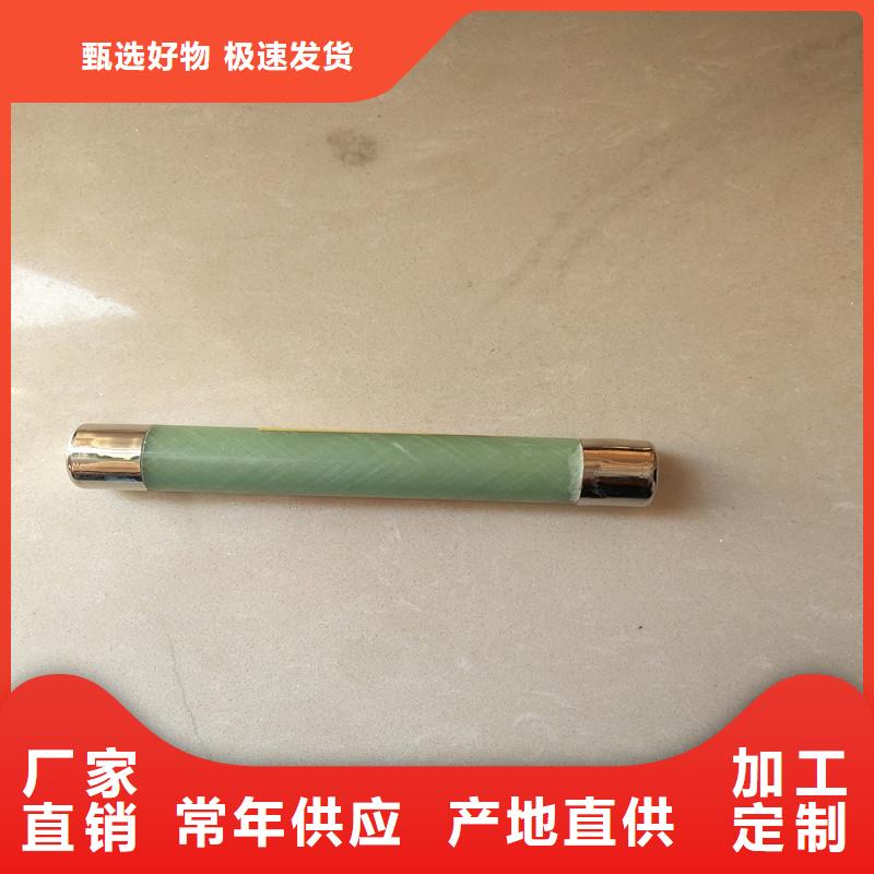 XRNP6-10/0.5A熔斷器樊高