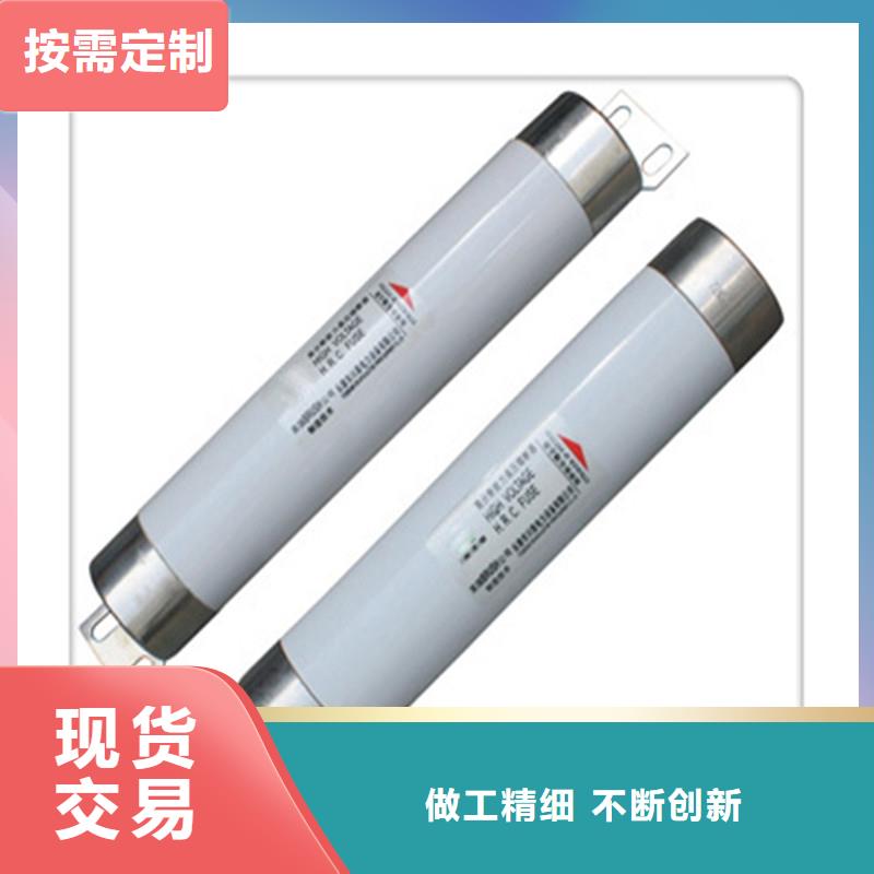 RN1-3/100單管高壓熔斷器