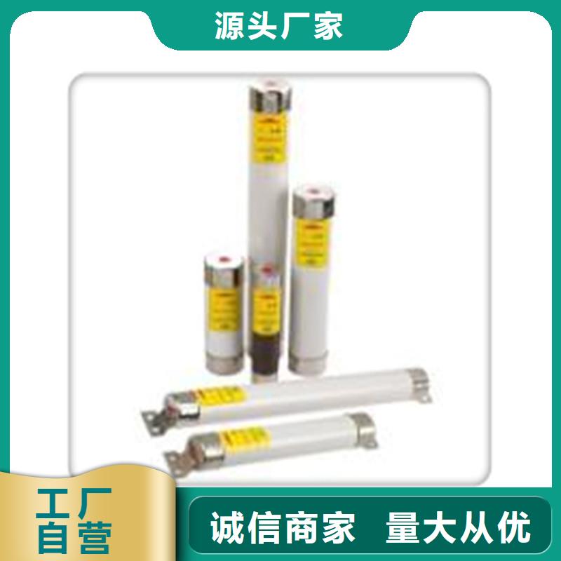 RN1-3/100單管高壓熔斷器