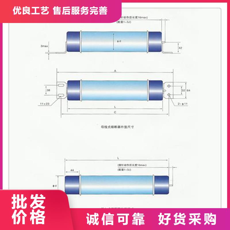 XRNP1-3.6/0.5A限流熔斷器廠家