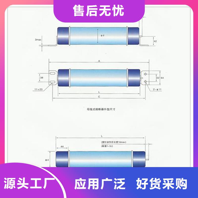 BR1-10/80A雙管限流熔斷器