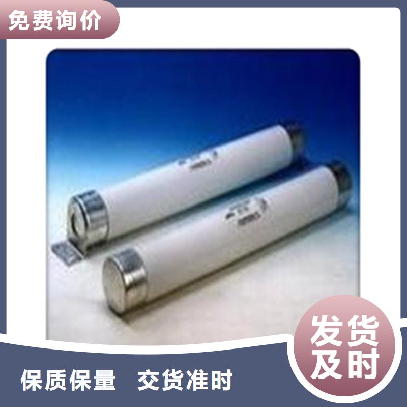 XRNM-12/80A熔管