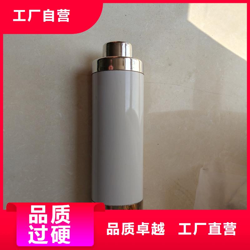 RN1-3/100單管高壓熔斷器