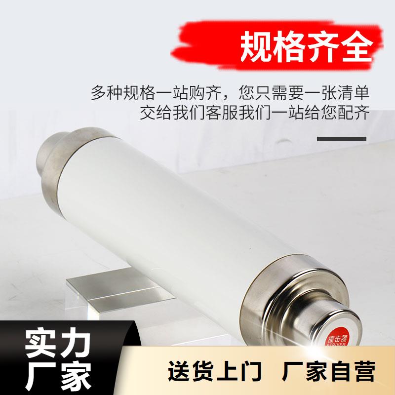 RXWO-40.5/7A高壓限流熔斷器