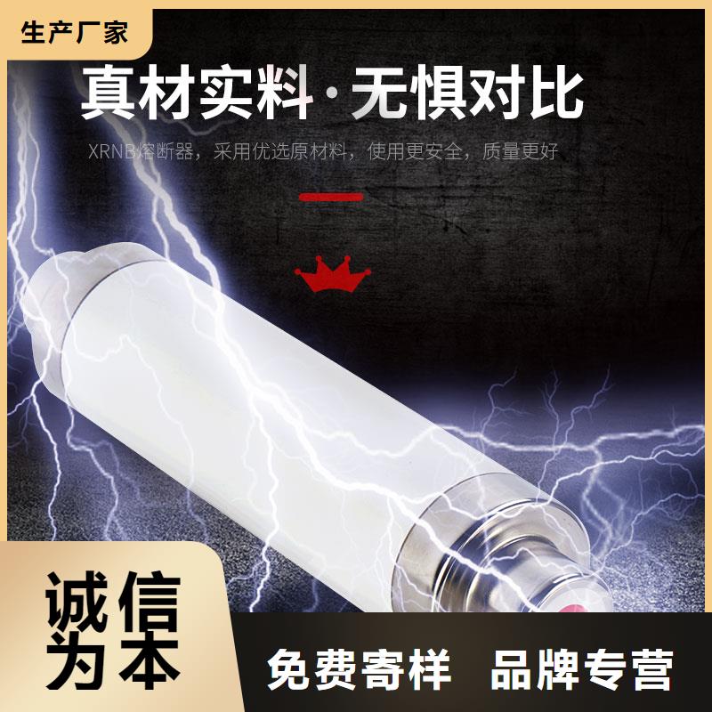 XRNP1-10KV/2A高壓限流熔斷器