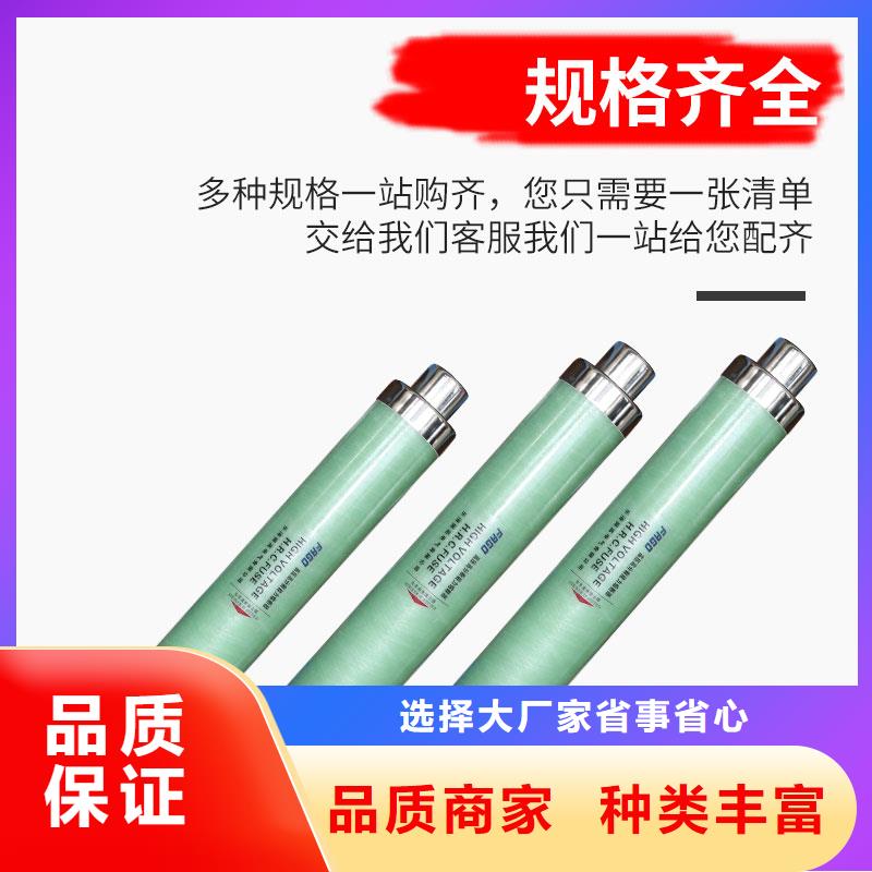 XRNP1-10KV/2A高壓限流熔斷器