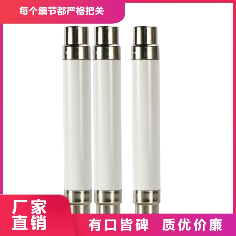 BR1-10/80A雙管限流熔斷器