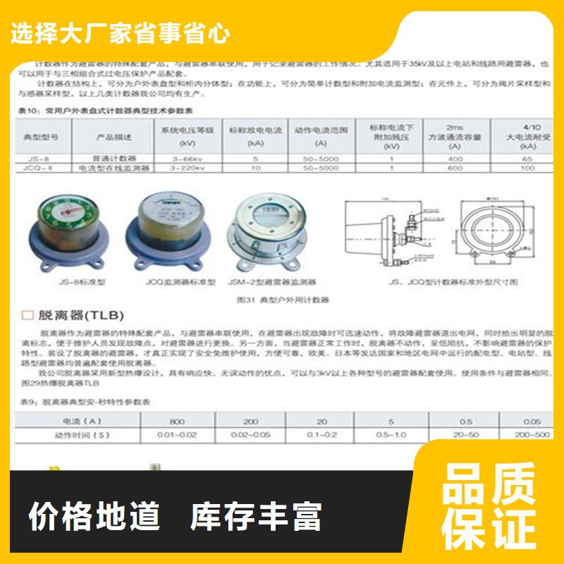 【計數器氧化鋅避雷器生產廠家廠誠信經營】