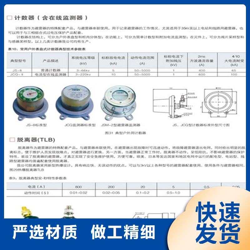 JCQ-5-66避雷器在線監測儀
