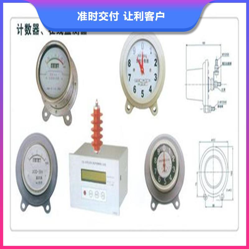 JSY-8S避雷器放電計數器