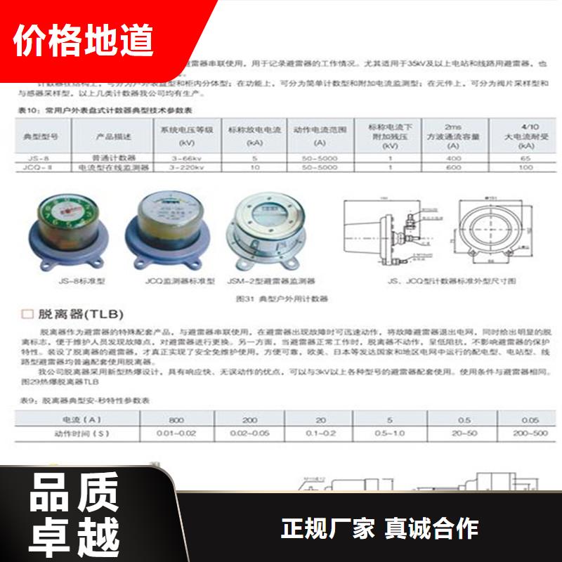 JSY-8S避雷器放電計數器