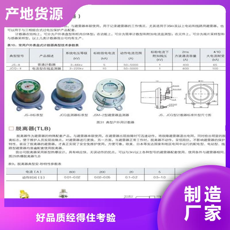 JSY-8S避雷器放電計數器