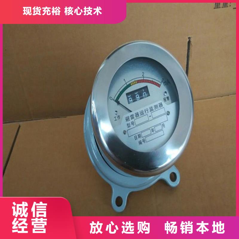 JSY-8S避雷器放電計數器