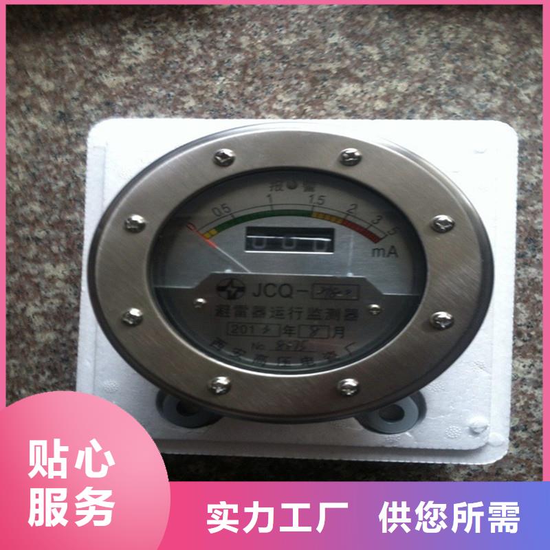 JSY-8S避雷器放電計數器