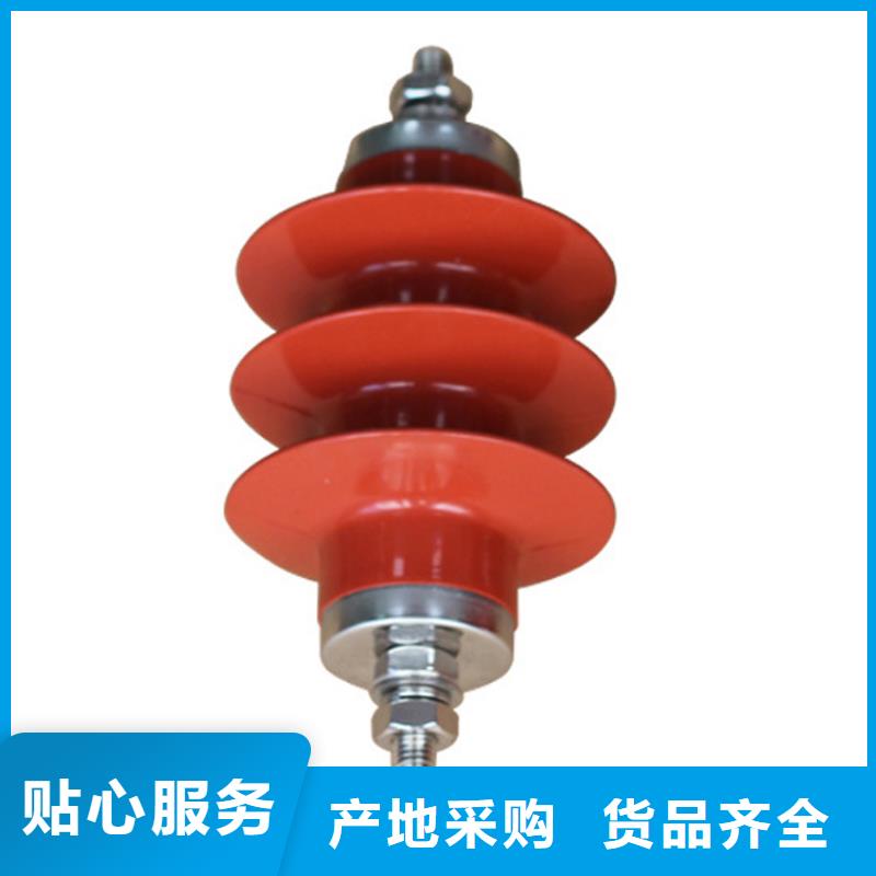 YH1.5CD-4.8/8.5防雷裝置樊高電氣