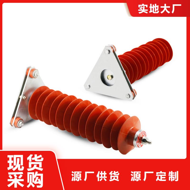 YH5WS-10/30配電型避雷器