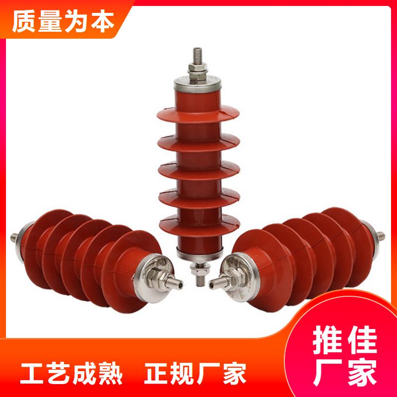 Y2.5WZ-16.7/40高壓避雷器