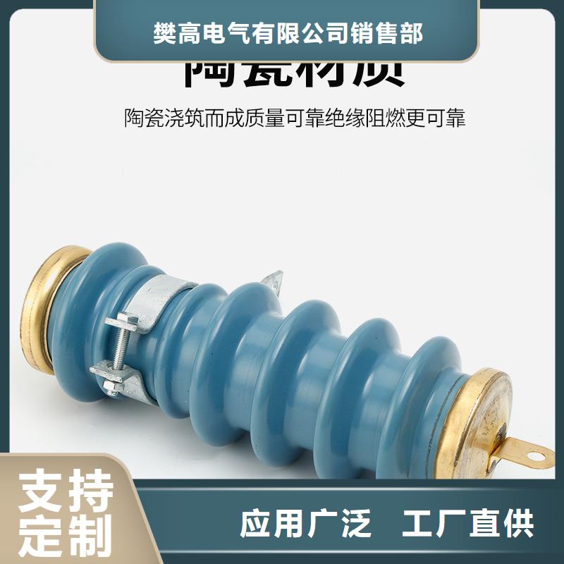 FS-0.22閥式避雷器	