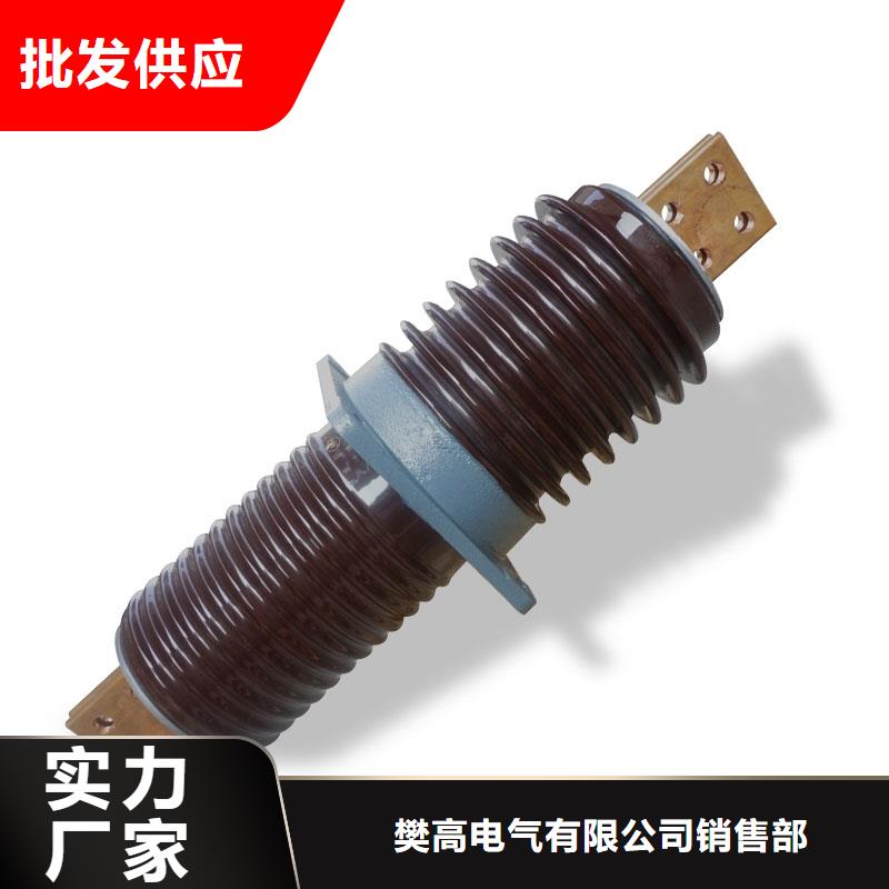 CWL-20/4000A高壓陶瓷穿墻套管