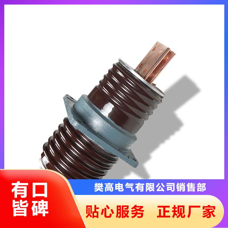 CWW-10/2000高壓陶瓷穿墻套管
