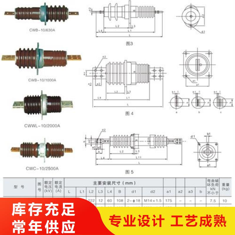 陶瓷穿墻套管CWC-35/4000A廠家直銷