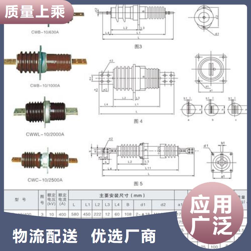 FCRG-10/3150A高壓穿墻套管說明書