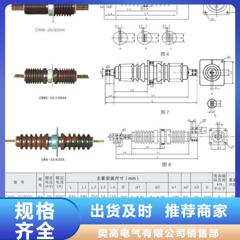 FCWW-20/3150高壓穿墻套管多重
