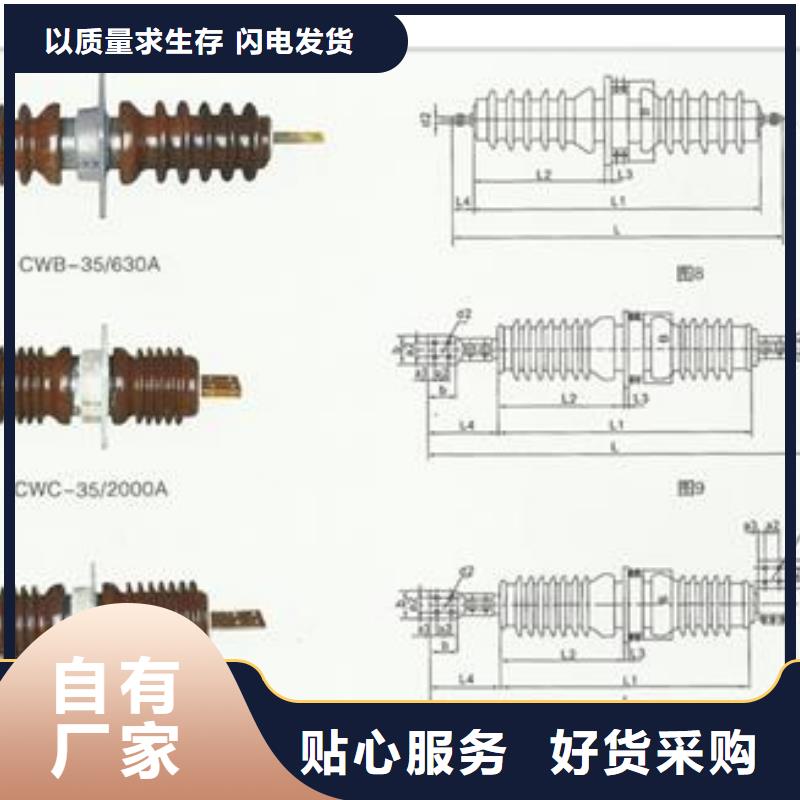 CWLB-35/1600A高壓陶瓷穿墻套管