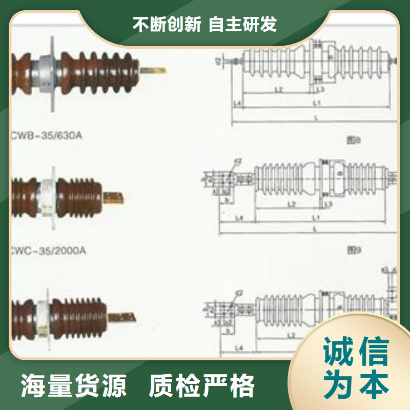 FCWW-40.5/400A高壓穿墻套管說明書