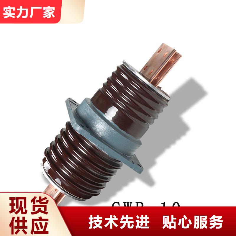 FCWB-10/1250A高壓穿墻套管尺寸圖