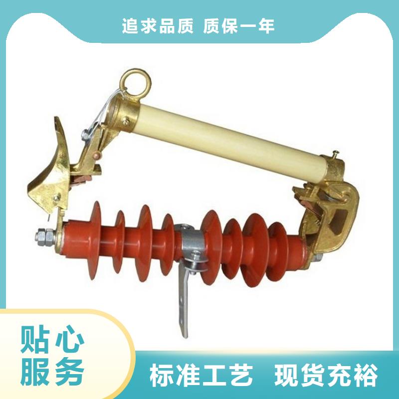 XRNP-12KV/3.15A限流熔断器厂家