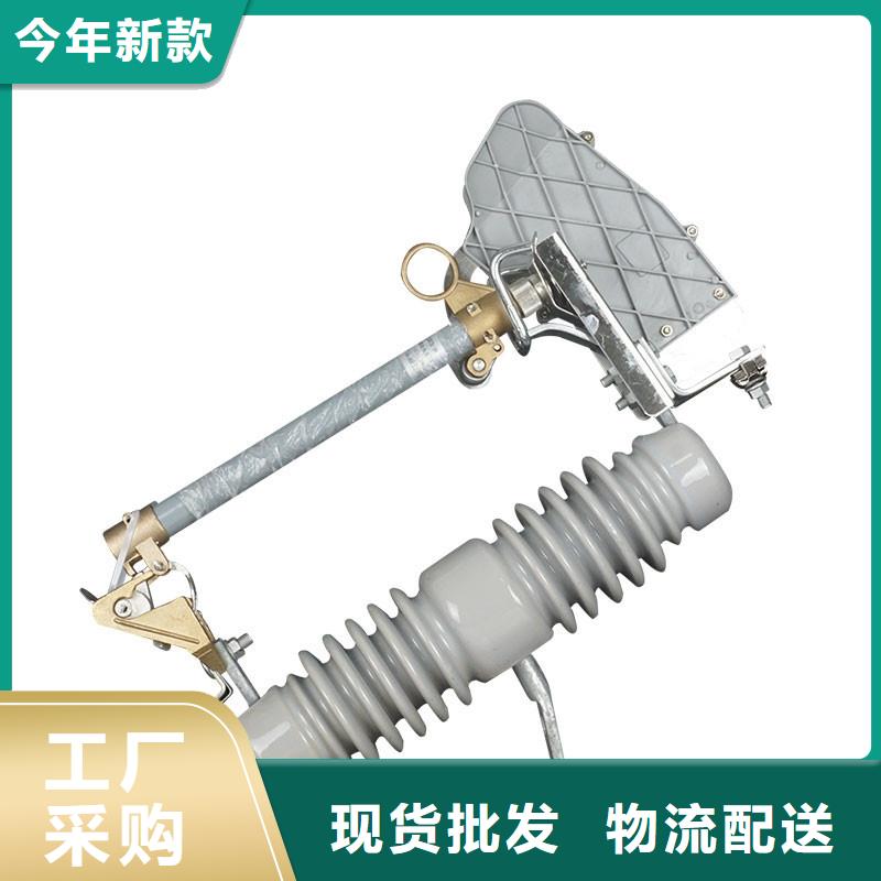 绝缘子视频-绝缘子-樊高电气销售部(扬州市分公司)服务区域广陵|邗江|无锡|南京|盐城|苏州|镇江