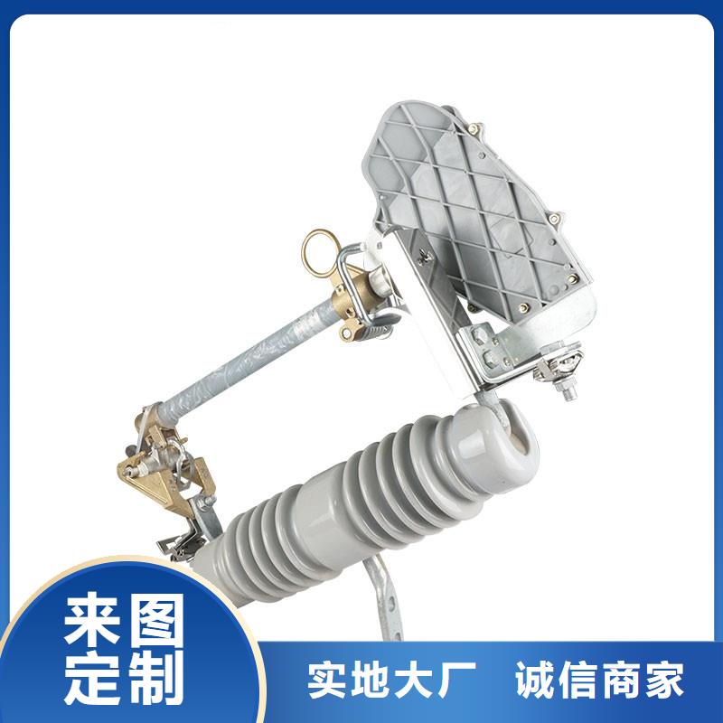XRNP1-40.5/0.5A高壓限流熔斷器