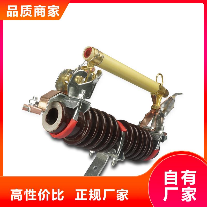XRNT1-12/30A高壓限流熔斷器